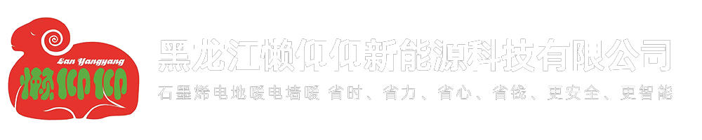 黑龙江懒仰仰新能源